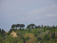 DSC 5794