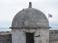 DSC 5868
