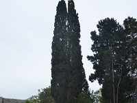 DSC 5972