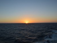 DSC 0001