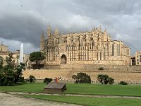 IMG 7101