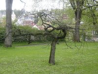 DSCN1609
