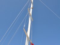 DSC 7152