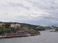 DSC 8704