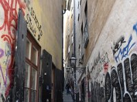 DSC 8776