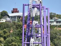 DSC 8952