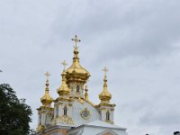 DSC 0811