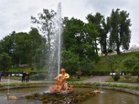 DSC 0843
