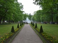 DSC 0903