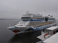 DSC 1262