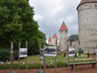 DSC 1474