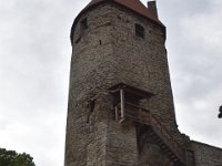 DSC 1487