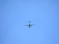 DSC 0007