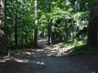 DSC 0874