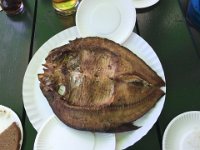 IMG 6001