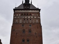 DSC 1811