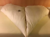 IMG 6378