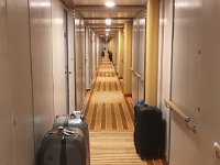 IMG 6496