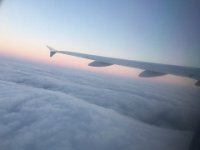 IMG 3756