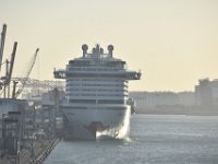 DSC 8394