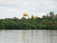 DSC 5401