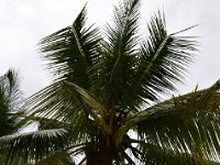DSC 5412