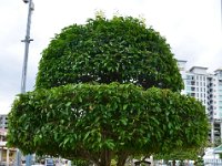DSC 5531