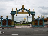 DSC 5547