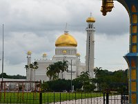 DSC 5553