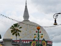 DSC 5566