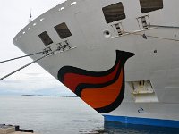 DSC 5613