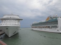 DSC 4482