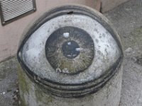 DSC 4596