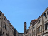 DSC 4977