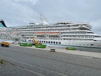 IMG 7917