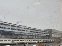 IMG 7982