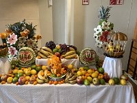 IMG 2505