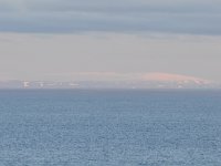 DSC 0015