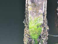 DSC 1654