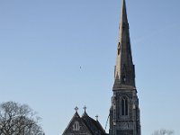 DSC 7239