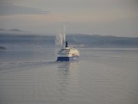DSC 7478