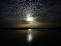 DSC 7486