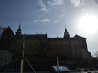 DSC 7561