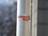 DSC 7770
