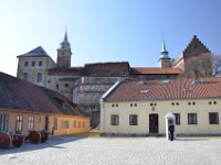 DSC 7868
