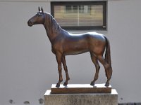DSC 7977