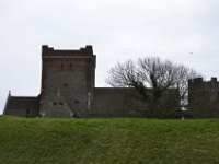 DSC 8786