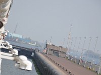 DSC 9598