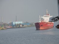DSC 9619