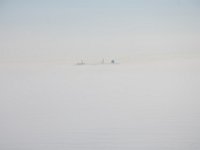 DSC 0071